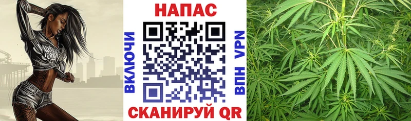 Конопля MAZAR  Зверево 
